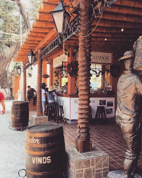 Legend of the Emerald Oasis and Pisco Wineries - 2